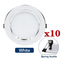 White Spring Buckle