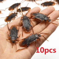Cockroach-10pcs